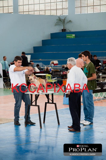 Clique sobre a foto para fechar